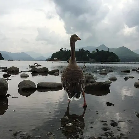 Gasthuis Glendale 4*